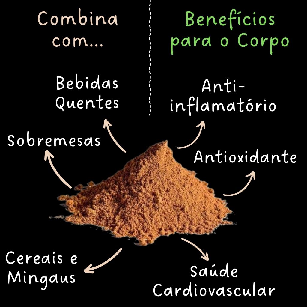 Descubra a versatilidade e os benefícios da Canela em Pó do Empório Vida da Terra