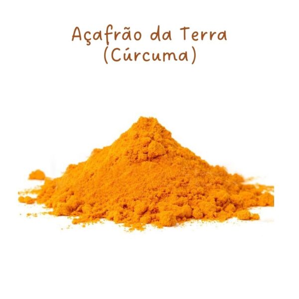 Descubra os incríveis benefícios e o sabor único da Cúrcuma, também chamada de Açafrão da Terra!