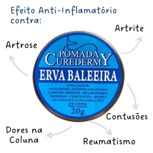 Benefícios Erva Baleeira