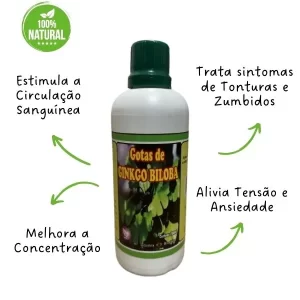 Ginkgo Biloba Concentrada 100ml | Receita Exclusiva