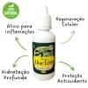 Conheça os Benefícios do Óleo de Aloe Vera